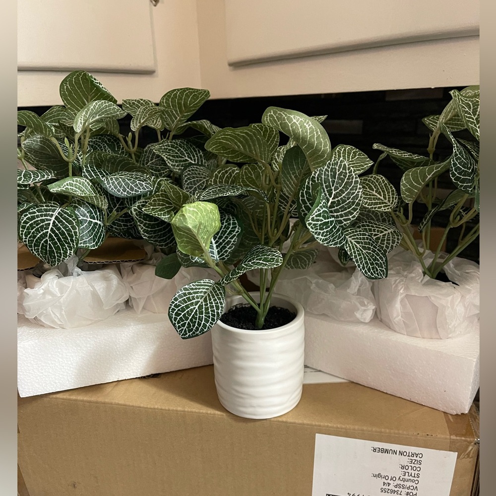 4 Artificial Plant Set Tabletop  Plants NEW Fake Plants White Planters SET